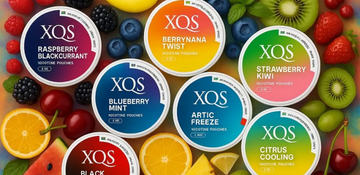XQS 8mg Nicotine Pouches