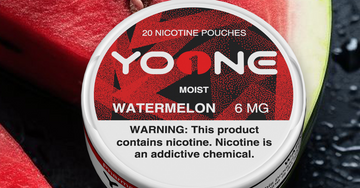 Zyn Menthol Ice Nicotine Pouches