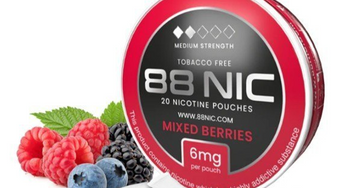 Zyn Blackcurrant Frost Nicotine Pouches