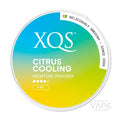 xqs nicotine pouches
